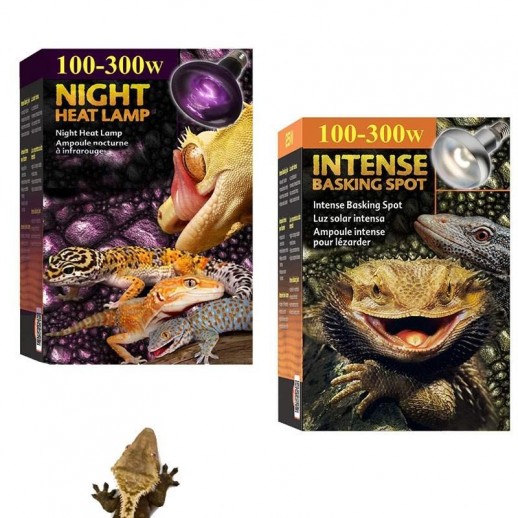Lâmpada Aquecimento de Terrário Répteis