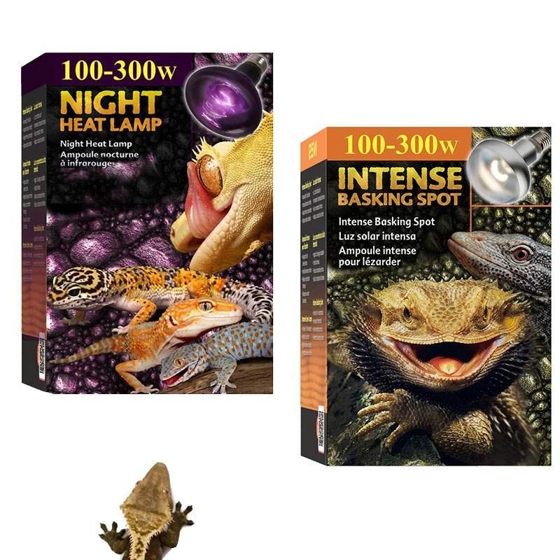 Lâmpada Aquecimento de Terrário Répteis