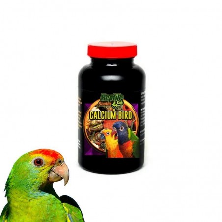 Cálcio para Aves Pássaros