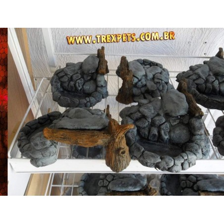 PROMOÇÃO Rock Cave Lizard 