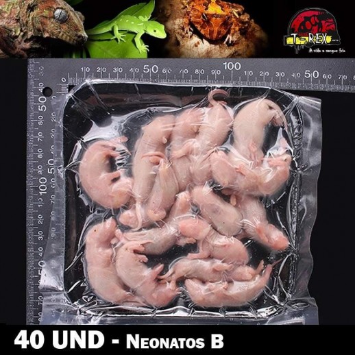 comprar ratinhos congelados para cobra