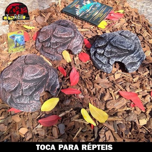 toca para terrario