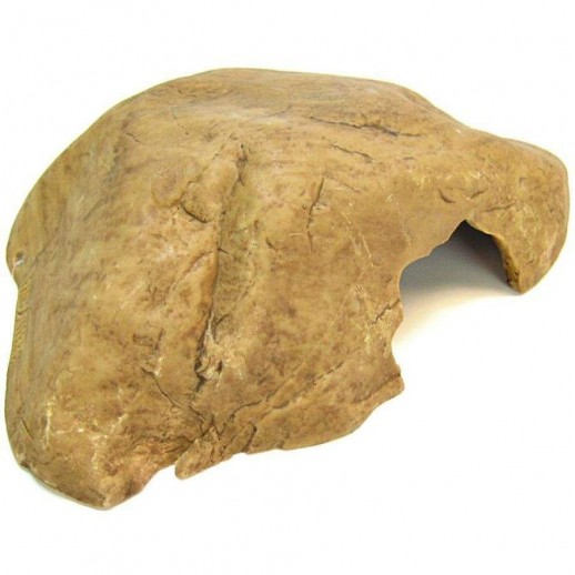 Reptile Cave Medium Répteis | Terrário| Pogona | Gecko