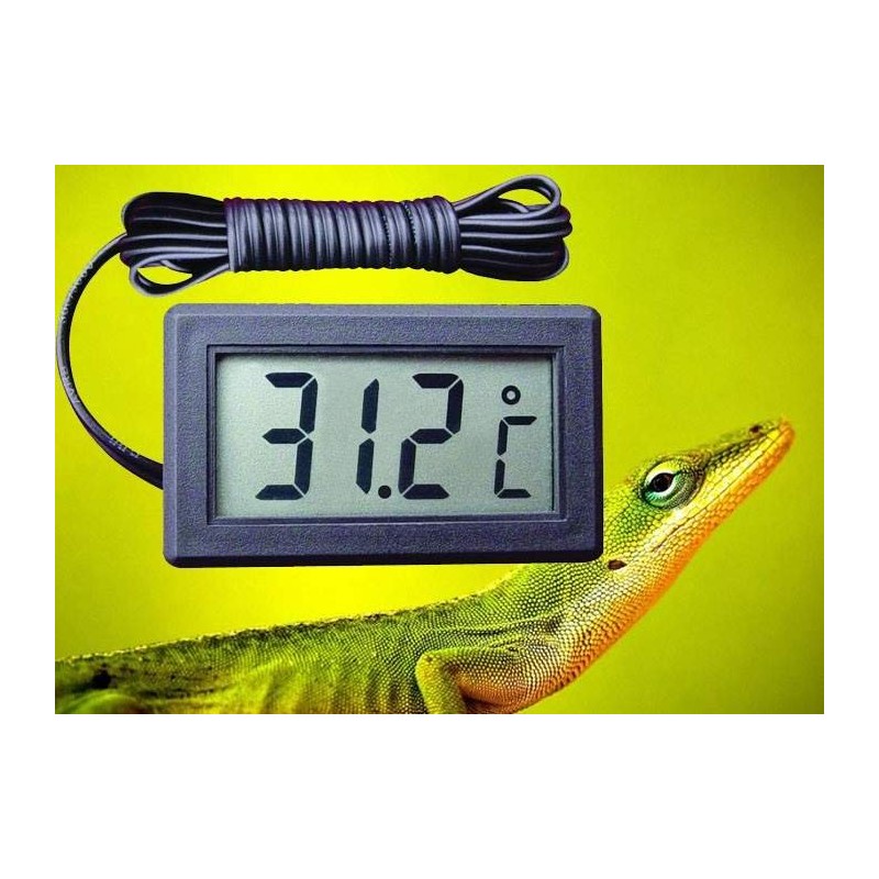 Termômetro para Terrário Répteis