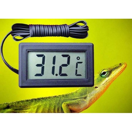 Termômetro para Terrário Répteis