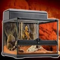 Kit Decoração Completo para Terrários - Transforme Seu Espaço em um Mundo Encantador!