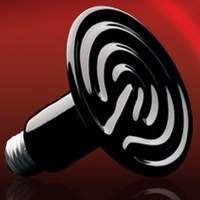 quecimento e Iluminação de Alta Qualidade para sua Tartaruga | Compre Agora na T-rexpets