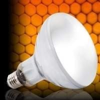 Lâmpadas para Répteis: UVB e Aquecimento | Compre Agora na Nossa Loja